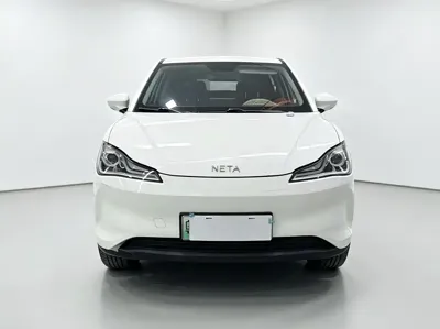 NETA Neta V