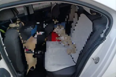 Volkswagen Santana