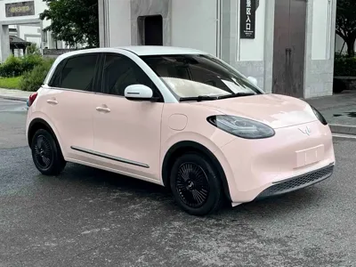 Wuling Bingo
