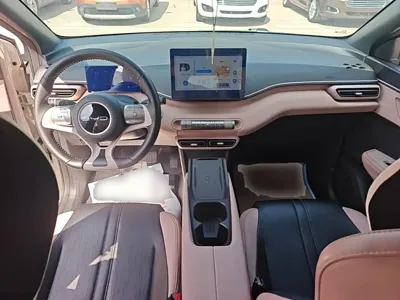 BYD Seagull