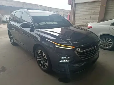 Wuling Victory