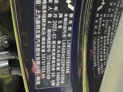 Wuling Bingo