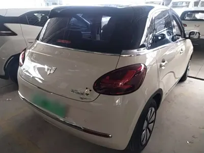 Wuling Bingo