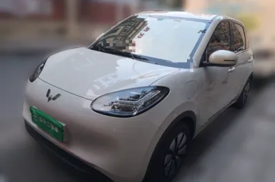 Wuling Bingo