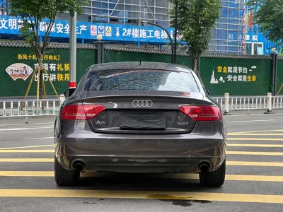Audi A5 (Import)
