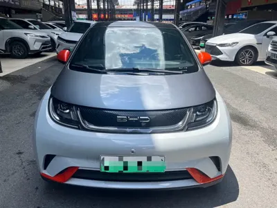 BYD Dolphin
