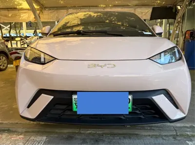 BYD Seagull