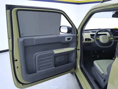 Galaxy Panda
