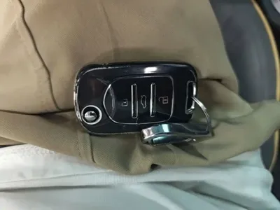 Wuling Bingo