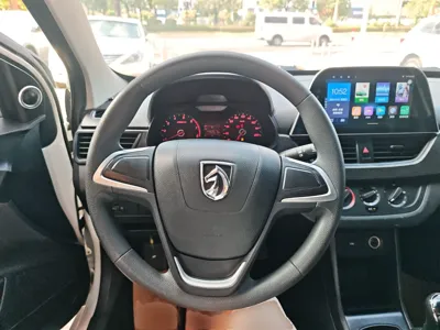 Baojun 310