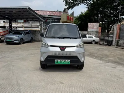 Wuling Wuling EV50