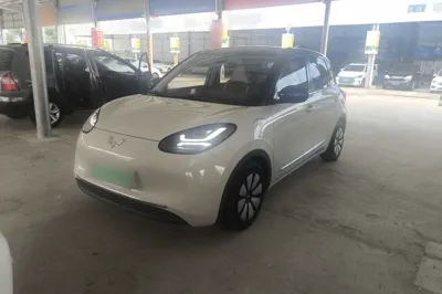Wuling Bingo