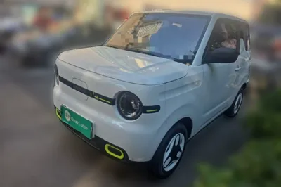 Geely Galaxy Panda