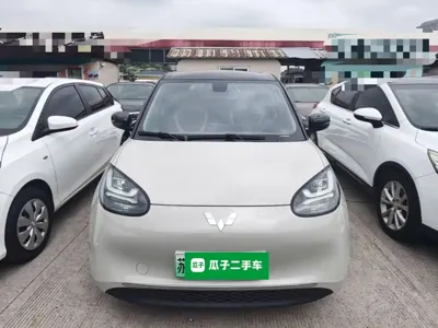 Wuling Bingo