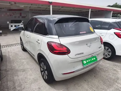 Wuling Bingo