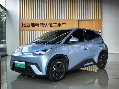 BYD Seagull