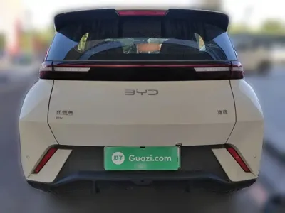 BYD Seagull