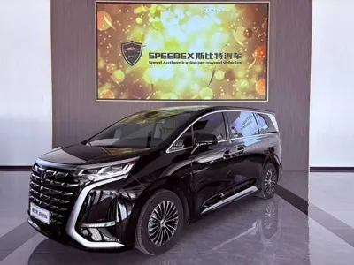 Denza Denza D9