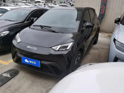 BYD Seagull