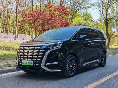 Denza Denza D9