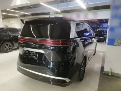 Denza D9
