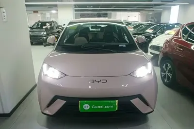 BYD Seagull