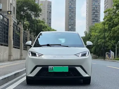 BYD Seagull