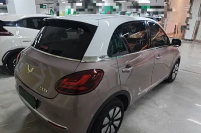 Wuling Bingo