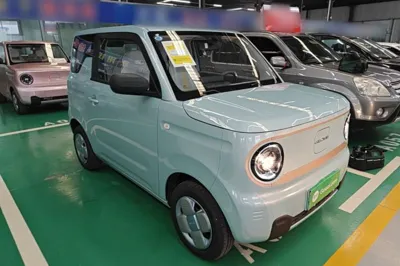 Geely Galaxy Panda