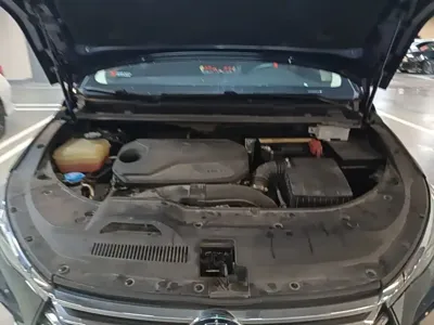 BYD MAX