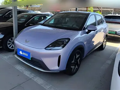 Wuling 缤果S