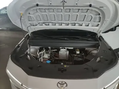 Toyota 铂智3X