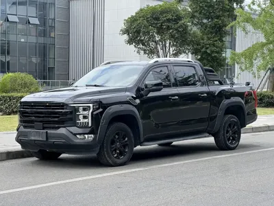 Foton Foton Mars