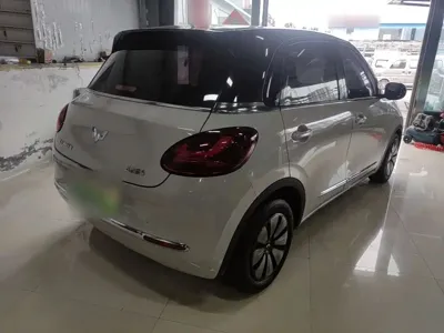 Wuling Bingo
