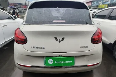 Wuling Bingo