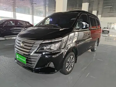 Fengxing Lingzhi