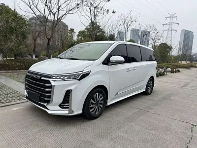 大通 G20