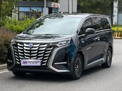 Denza Denza D9