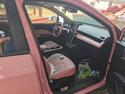 NETA Neta V