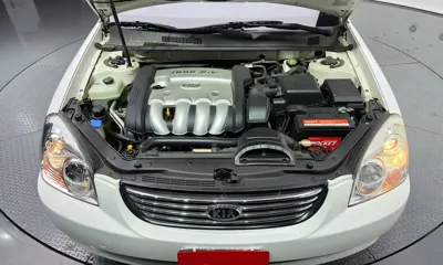 Kia Lotze