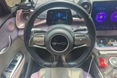BYD Dolphin
