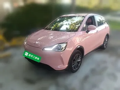 NETA Neta V
