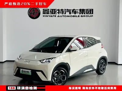 BYD Seagull