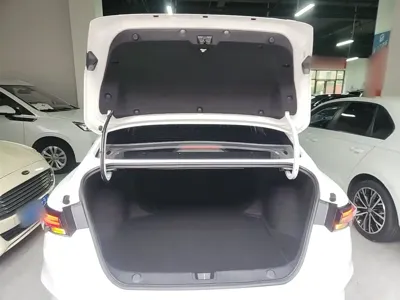 Geely Binrui