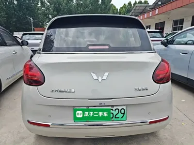 Wuling Bingo