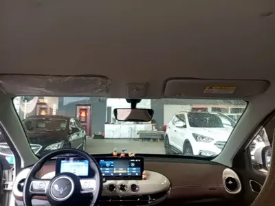 Wuling Bingo