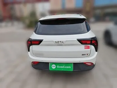 NETA Neta V