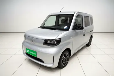 Wuling Zhiguang New Energy