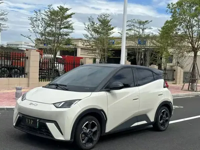 BYD Seagull