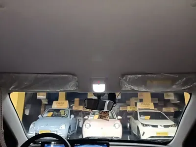 Wuling Bingo